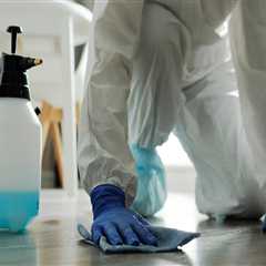 Transform Your Kitchen with Stylish Cabinets and Expert Grout Cleaning