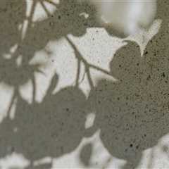 Transform Your Outdoors: Stylish Décor and Tile Cleaning Tips