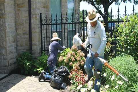 Expert Landscaping Services in Colleyville, TX