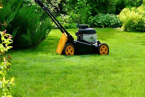 Landscape Contractors and Cleaning Services for Year-Round Property Care