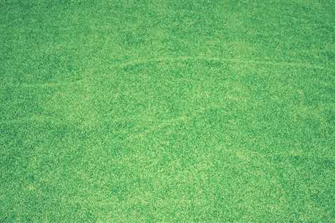 Enhancing Your Fleming Island Lawn: How Local Sod Contractors Can Work with Lawn Sprinkler Systems