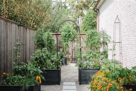 The Landscaping Repairs That Are Cheaper Before a Move Than After