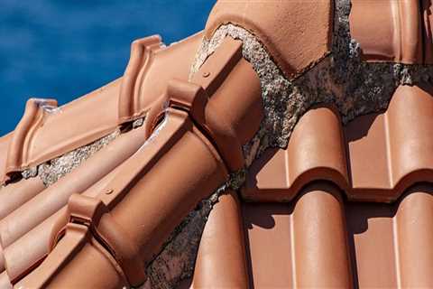 How Landscape Architects Enhance St. Leonard Homes