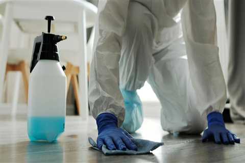 Transform Your Kitchen with Stylish Cabinets and Expert Grout Cleaning