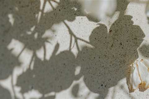 Transform Your Outdoors: Stylish Décor and Tile Cleaning Tips