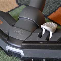 Elevate Your Home with Lawn and Domestic Cleaning in Tallahassee