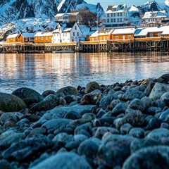 Your Guide to Professional Paver Sealing Services