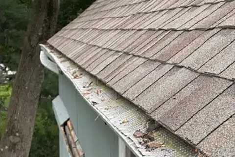 Affordable gutter services Hampton, NJ · Thursday, Dec 11, 2025 📸