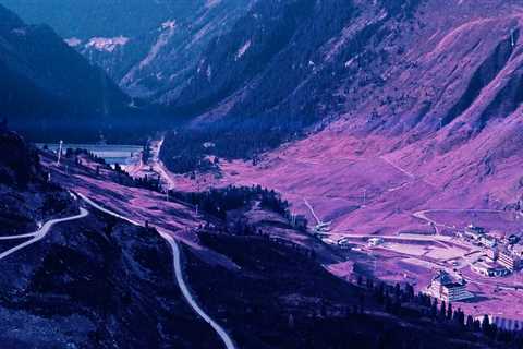 Top Rated Local Painting Contractors in Dee Why