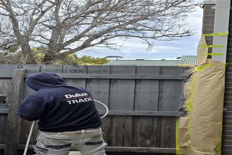 Best Options for Interior Painting Belmont