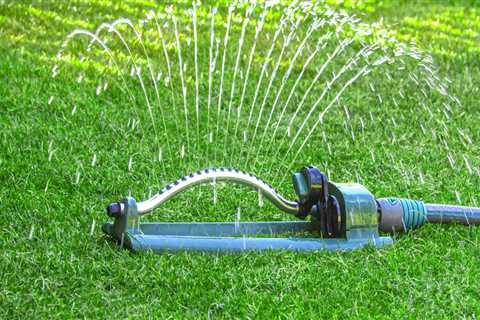 Preventing Moisture Problems in Portland, OR: How Irrigation Systems Can Impact Mold Inspection..