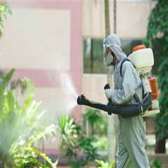 Outdoor Pest Control Tips for Managing Seasonal Infestations