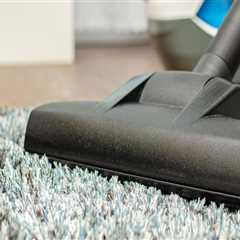 Restore Your Carpets After Rodent Removal with Atiyeh Bros.