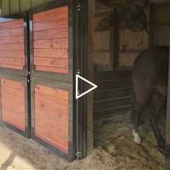 Equestrian Automated Mosquito Misting System | CSRA Mosquito Control