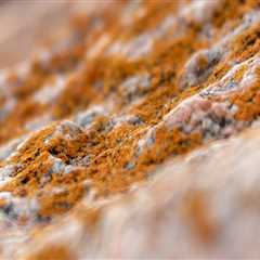 Keep Your Las Vegas Construction Site Safe and Mold-Free