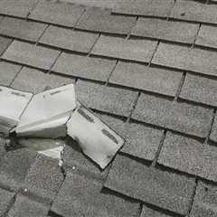 Inspecting Shingles for Signs of Damage