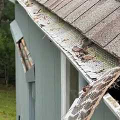 Gutter cleaning near me Hampton, NJ · Thursday, Dec 11, 2025 📸
