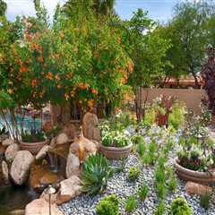 Enhance Your Lawn Care with Sump Pumps in Phoenix