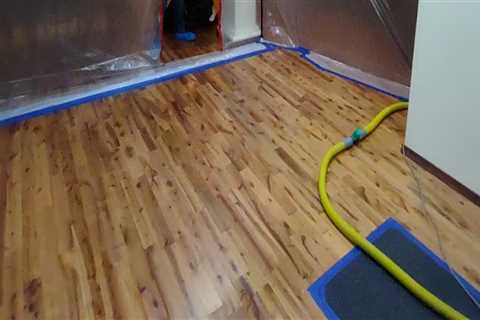 Expert Fire Damage Cleanup and Rodent Removal in Richland, WA