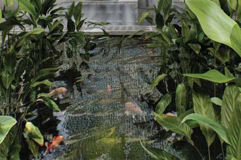 Exploring Alternative Tree Maintenance Solutions for Real Estate Assets