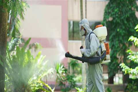 Outdoor Pest Control Tips for Managing Seasonal Infestations