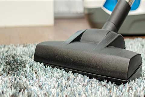 Restore Your Carpets After Rodent Removal with Atiyeh Bros.