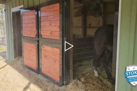 Equestrian Automated Mosquito Misting System | CSRA Mosquito Control