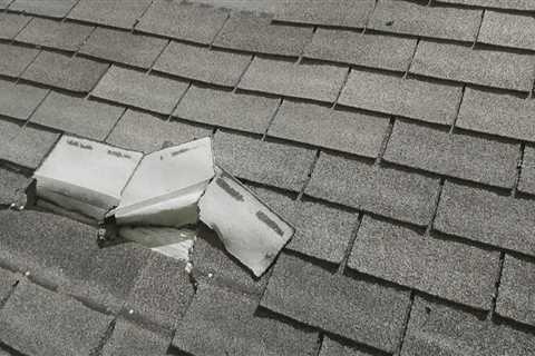 Inspecting Shingles for Signs of Damage