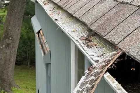Gutter cleaning near me Hampton, NJ · Thursday, Dec 11, 2025 📸