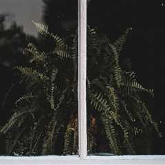 Boost Your Vancouver Home with Expert Window & Siding Repairs