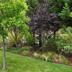 The Essential Role of Tree Inspection in Maintaining Healthy Landscapes