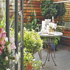 Transform Your Patio with Lush Landscaping: A Guide to Incorporating Plants
