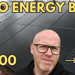 Can 19 Solar Panels Actually Reach Zero Bills?