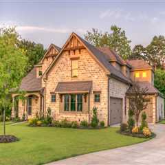 Protect Your Landscape with Expert Tree Maintenance