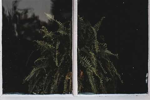 Boost Your Vancouver Home with Expert Window & Siding Repairs