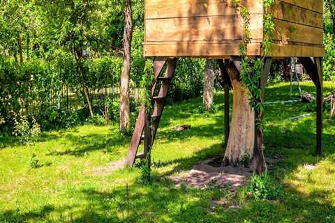 Ensuring Tree Safety: Is a Treehouse in Your Backyard Safe?