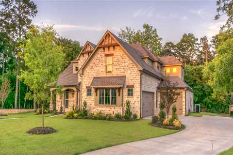 Protect Your Landscape with Expert Tree Maintenance