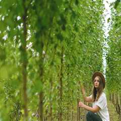 Enhance Your Home Renovation with Expert Tree Pruning in Portland