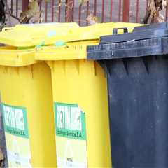 Maximize Your Home Cleanup with Dumpster Rentals in Worcester County: A Smart Companion to Maid..