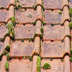 Ensure Your Home's Integrity with Expert Roofing and Paver Installation