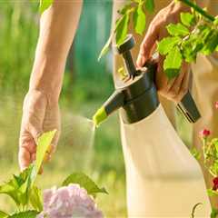 Organic Pest Control and the Value of Coordinated Home Care