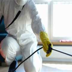 Indoor Pest Control Insights for Managing Pests in Utility Areas