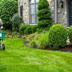 How Lawn Care Complements Overall Home Maintenance Services
