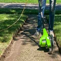 Sustainable Landscaping Products That Help Maintain Lawns After Bounce House Rentals