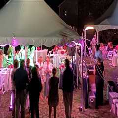 Landscape Services for Backyard Events in Harris County With Party Rentals