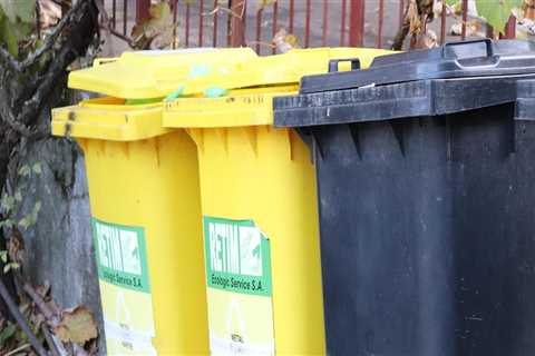 Maximize Your Home Cleanup with Dumpster Rentals in Worcester County: A Smart Companion to Maid..