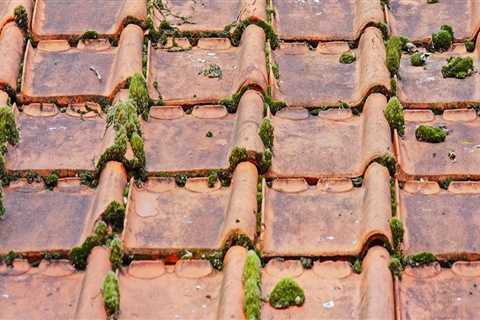 Ensure Your Home's Integrity with Expert Roofing and Paver Installation