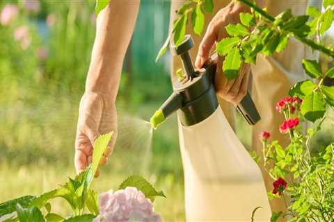 Organic Pest Control and the Value of Coordinated Home Care