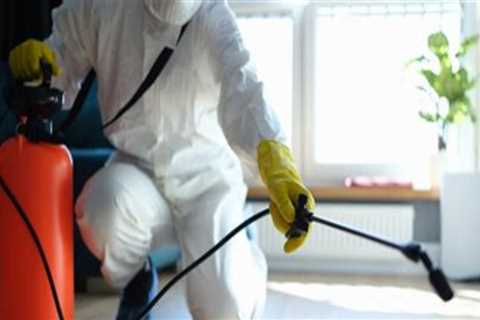 Indoor Pest Control Insights for Managing Pests in Utility Areas