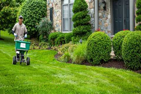 How Lawn Care Complements Overall Home Maintenance Services
